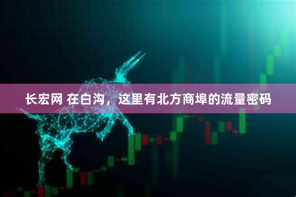 长宏网 在白沟，这里有北方商埠的流量密码